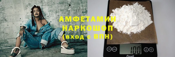 СК Алексин