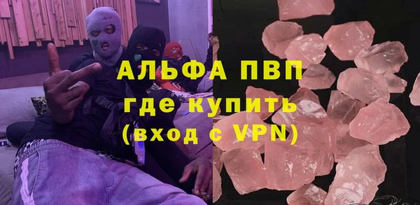 СК Алексин
