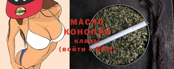 СК Алексин